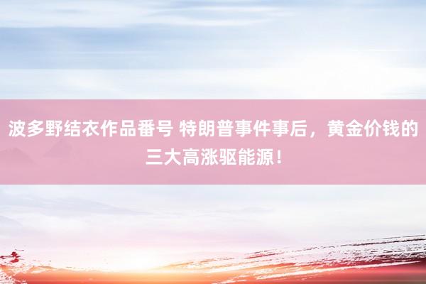 波多野结衣作品番号 特朗普事件事后，黄金价钱的三大高涨驱能源！