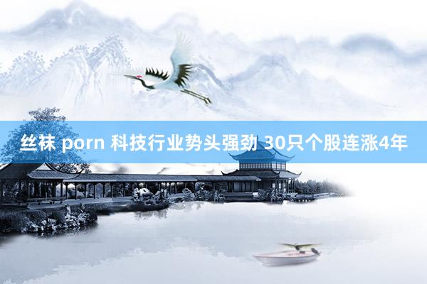 丝袜 porn 科技行业势头强劲 30只个股连涨4年