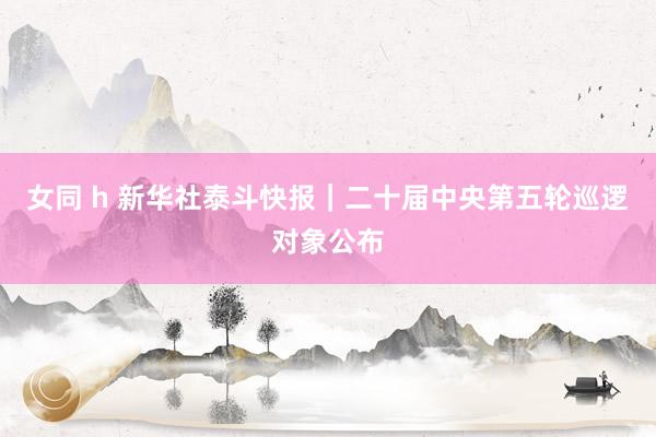 女同 h 新华社泰斗快报｜二十届中央第五轮巡逻对象公布