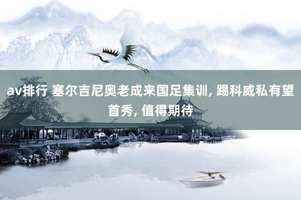 av排行 塞尔吉尼奥老成来国足集训, 踢科威私有望首秀, 值得期待