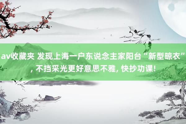 av收藏夹 发现上海一户东说念主家阳台“新型晾衣”， 不挡采光更好意思不雅， 快抄功课!