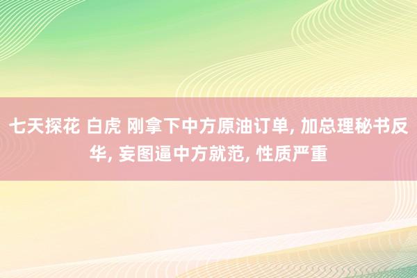 七天探花 白虎 刚拿下中方原油订单， 加总理秘书反华， 妄图逼中方就范， 性质严重