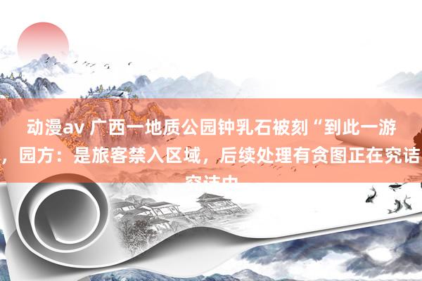 动漫av 广西一地质公园钟乳石被刻“到此一游”，园方：是旅客禁入区域，后续处理有贪图正在究诘中