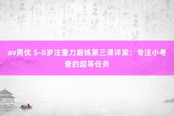 av男优 5-8岁注重力磨练第三课详案：专注小考查的超等任务