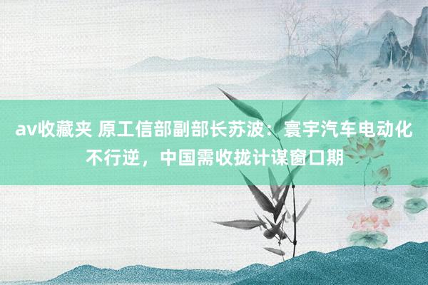 av收藏夹 原工信部副部长苏波：寰宇汽车电动化不行逆，中国需收拢计谋窗口期